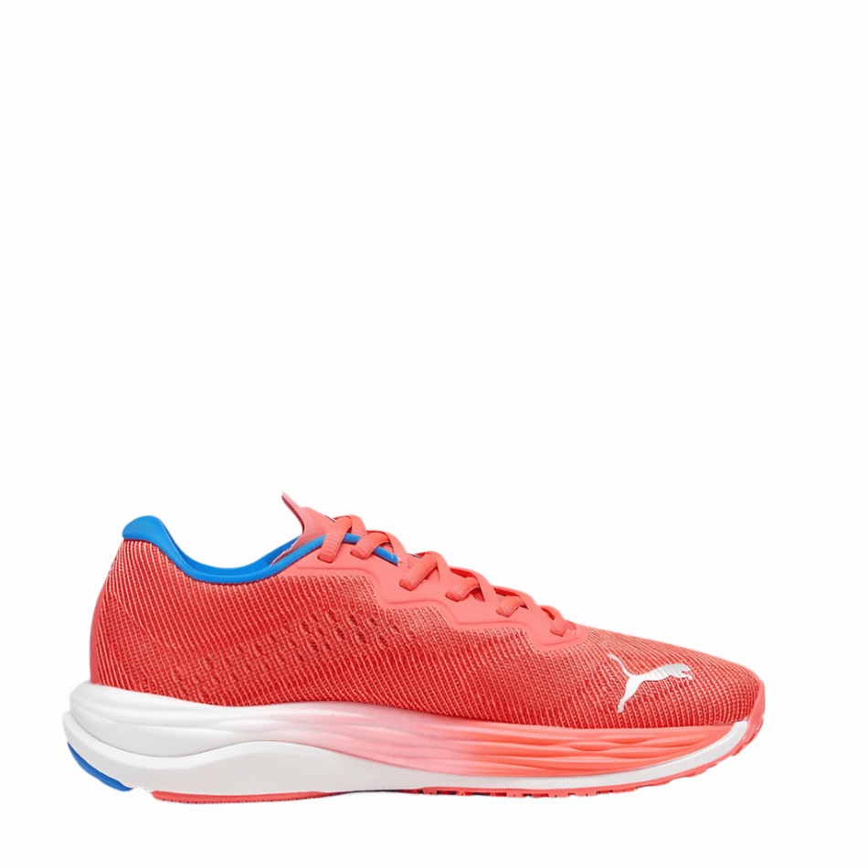 Puma Women's  Velocity Nitro 2 Wns Fire Orchid-Ultra Blue Comfortable Heel running in morning