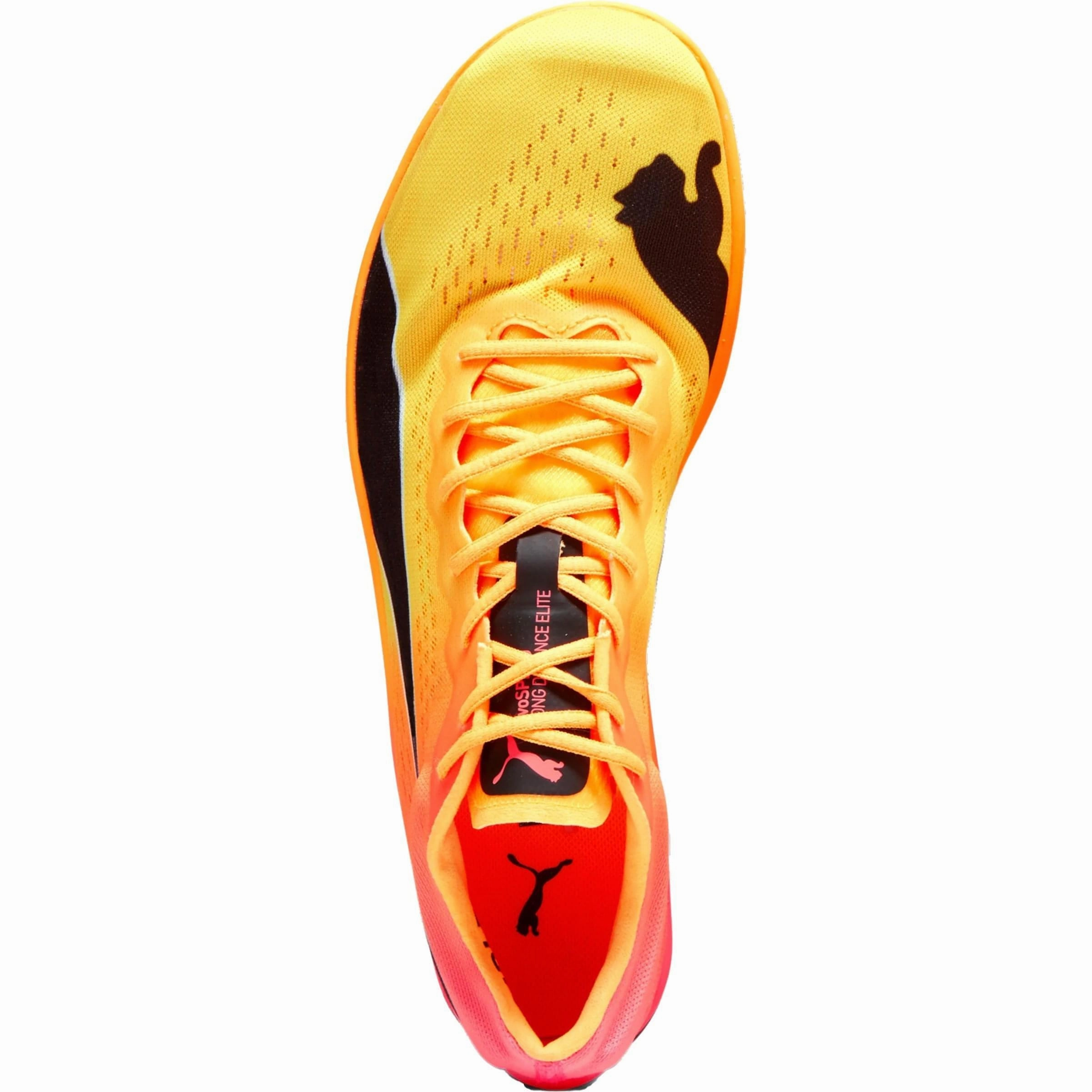 Puma evoSpeed Nitro Elite  Long Distance Running Spikes - Orange Fit Player