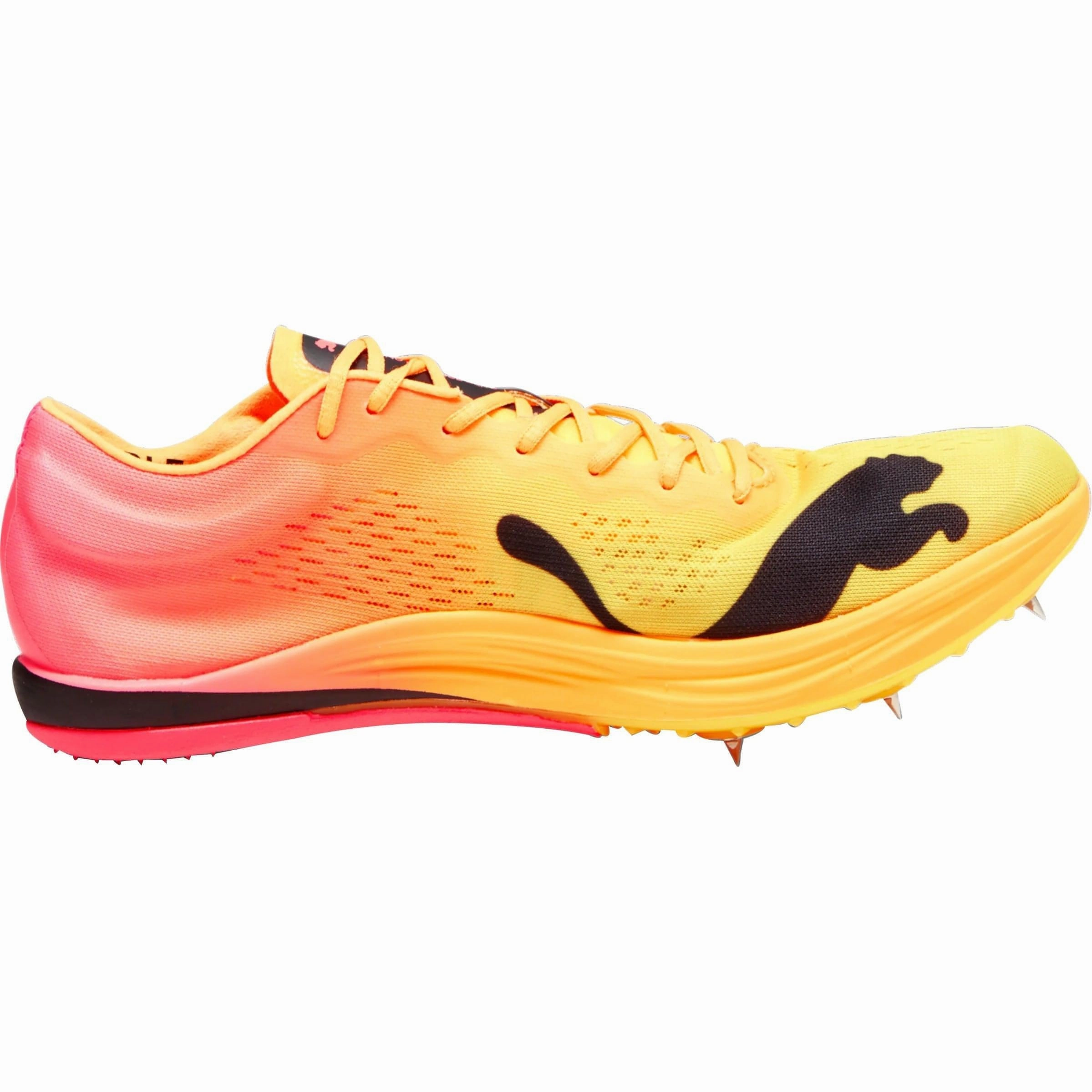 Sleek Fit Puma evoSpeed Nitro Elite  Long Distance Running Spikes - Orange