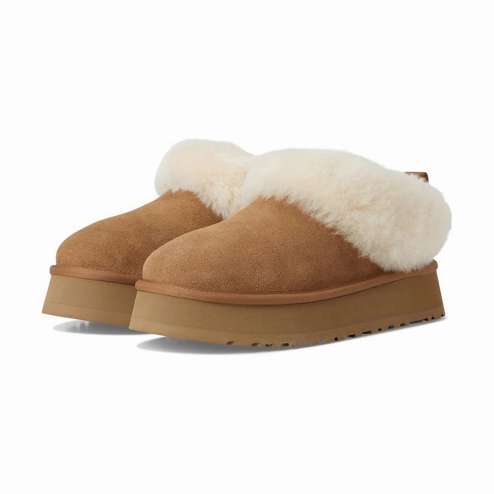 Cozy Travel Shoes UGG Tazzelle 1171393-CHE Slipper Women's Chestnut Suede Slip On Platform GUG154