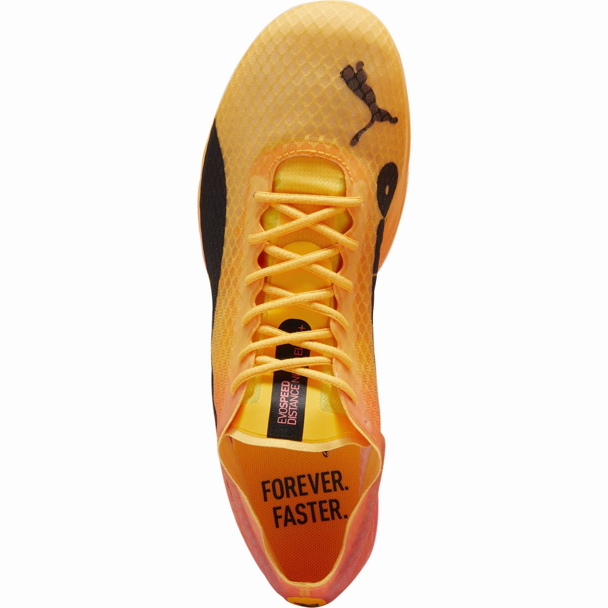 Sport Outfit Puma evoSpeed Distance Nitro Elite   4 Running Spikes - Orange