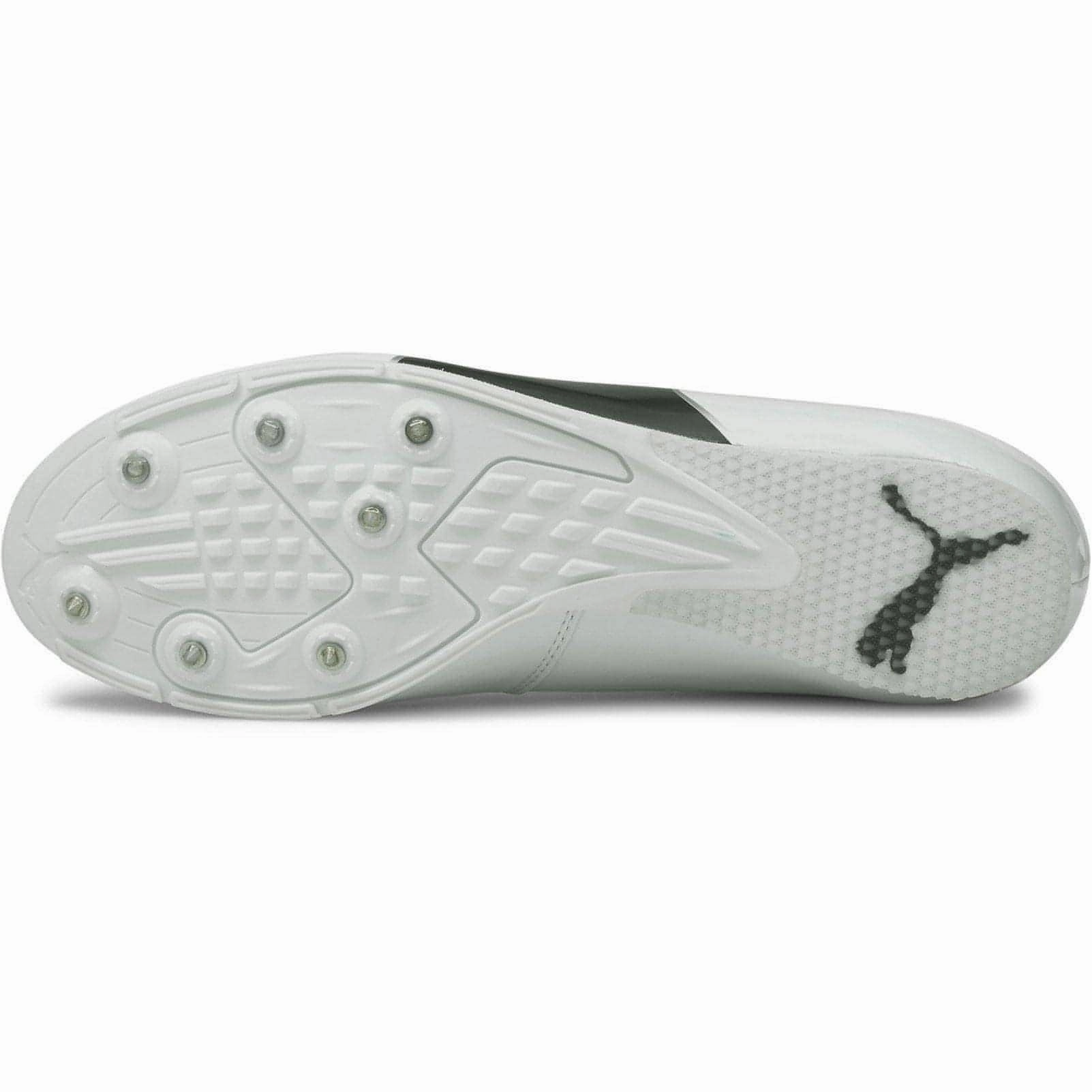Puma evoSpeed Long Jump 6 Field Event Spikes - White TPU Heel Counter Daily Basics
