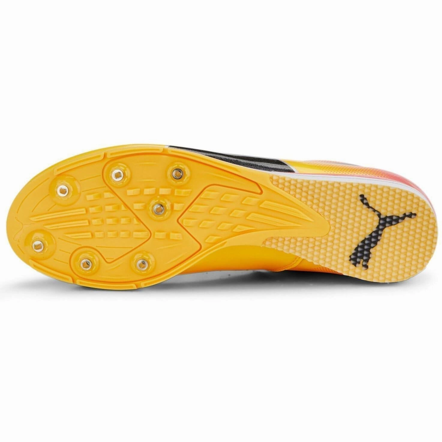 Bounce Walk Puma evoSpeed Triple Jump 10 Field Event Spikes - Orange