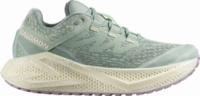 Expandable Salomon Aero Glide 3 GRVL Womens Trail Running Shoes - Green