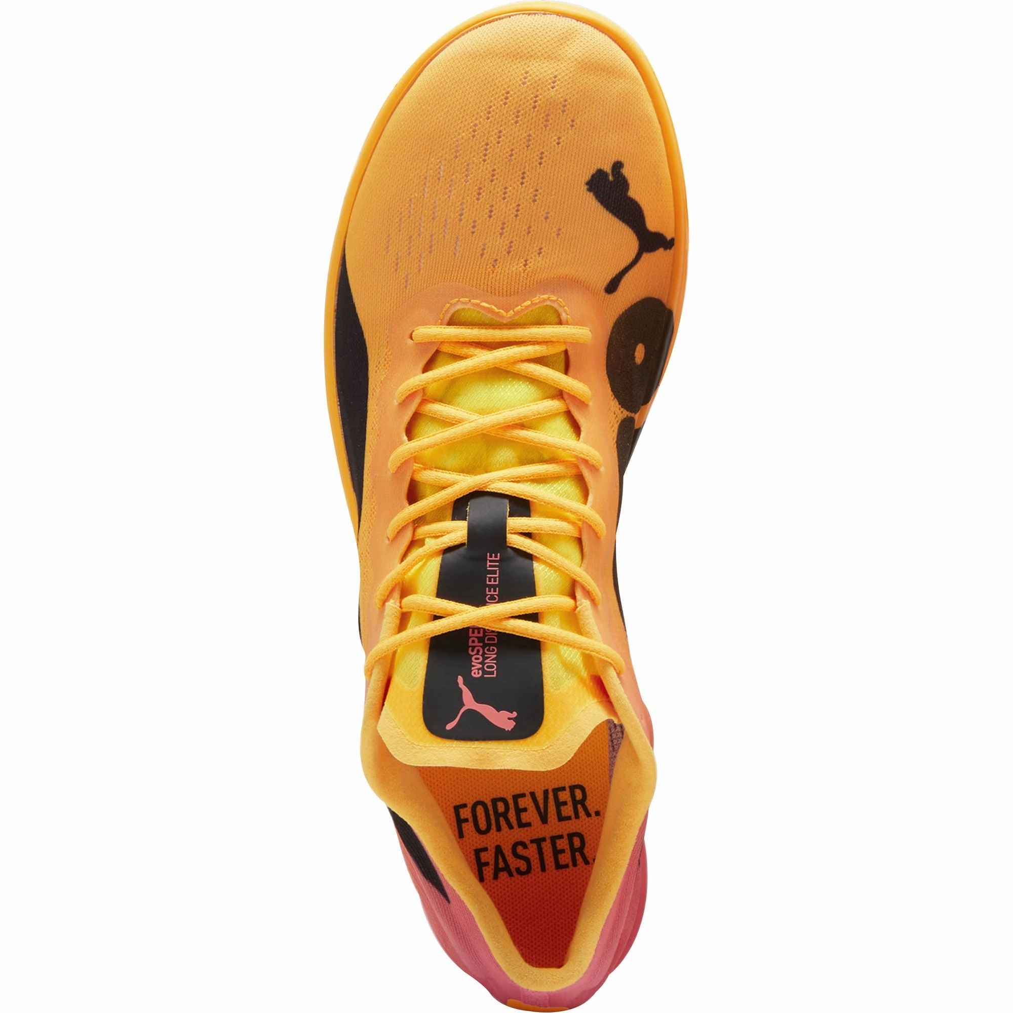 Drive Forward Speed Lace Puma evoSpeed Long Distance Nitro Elite 2 Running Spikes - Orange